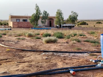 Vente Terrain Agricole Djelfa Hassi bahbah 5