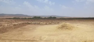 Vente Terrain Agricole Djelfa Djelfa 6