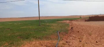 Vente Terrain Agricole Djelfa Djelfa 9