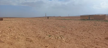 Vente Terrain Agricole Djelfa Mouadjebar 9