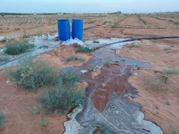 Vente Terrain Agricole Djelfa Hassi bahbah 23