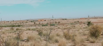 Vente Terrain Agricole Djelfa Djelfa 6