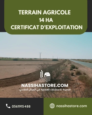 Vente Terrain Agricole Djelfa Birine