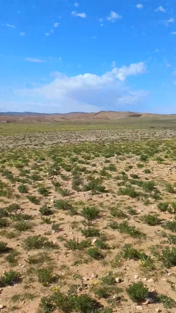 Vente Terrain Agricole Djelfa Djelfa 5