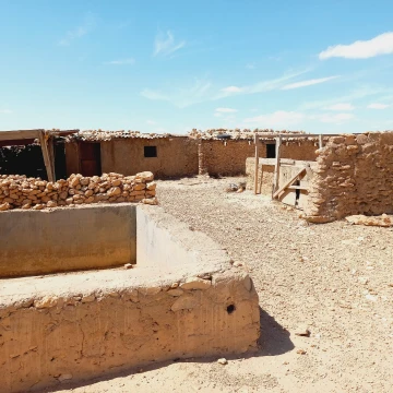 Vente Terrain Agricole Djelfa Birine 14