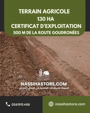 Vente Terrain Agricole Djelfa Birine 9