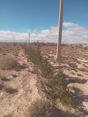Vente Terrain Agricole Djelfa Djelfa 7