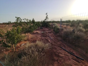 Vente Terrain Agricole Djelfa Hassi bahbah 14