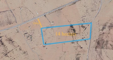 Vente Terrain Agricole Djelfa Djelfa 8