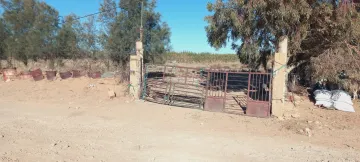Vente Terrain Agricole Djelfa Ain oussara 5