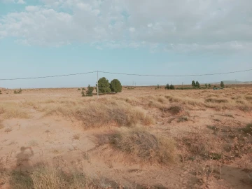 Vente Terrain Agricole Djelfa Charef 4