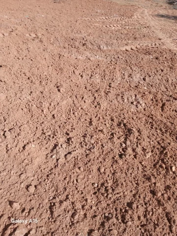 Vente Terrain Agricole Djelfa Had sahary 23