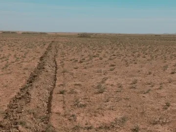 Vente Terrain Agricole Djelfa Birine 4