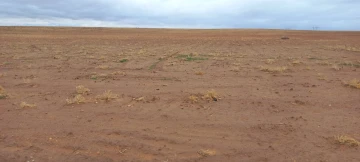 Vente Terrain Agricole Djelfa Ain oussara 21
