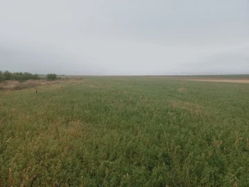 Vente Terrain Agricole Djelfa Benhar 12