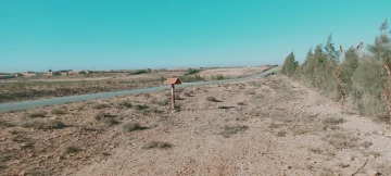 Vente Terrain Agricole Djelfa Djelfa 8