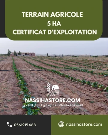 Vente Terrain Agricole Djelfa Hassi bahbah 17