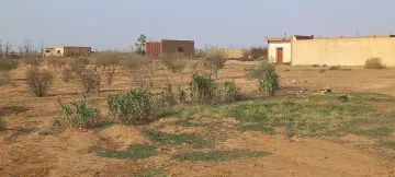 Vente Terrain Agricole Djelfa Ain oussara 8