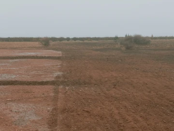 Vente Terrain Agricole Djelfa Benhar 9
