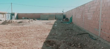 Vente Terrain Agricole Djelfa Djelfa 5