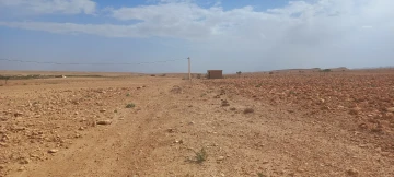 Vente Terrain Agricole Djelfa Mouadjebar 3