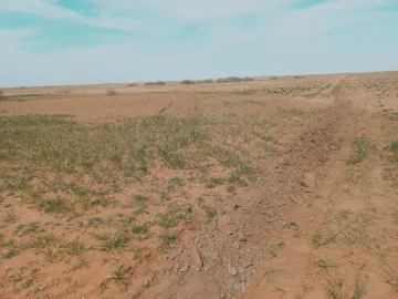 Vente Terrain Agricole Djelfa Birine 2