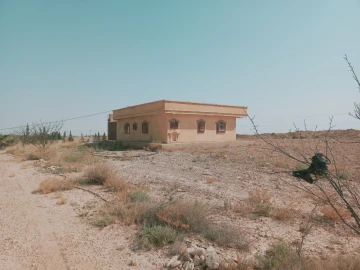 Vente Terrain Agricole Djelfa Ain oussara 19