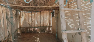 Vente Terrain Agricole Djelfa Hassi bahbah 13