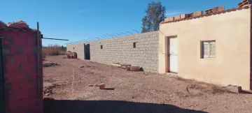 Vente Terrain Agricole Djelfa Ain oussara 20