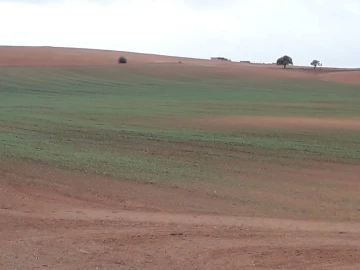 Vente Terrain Agricole Tiaret Tiaret 4