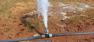 Vente Terrain Agricole Djelfa Djelfa 4