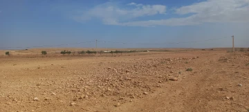 Vente Terrain Agricole Djelfa Mouadjebar 13