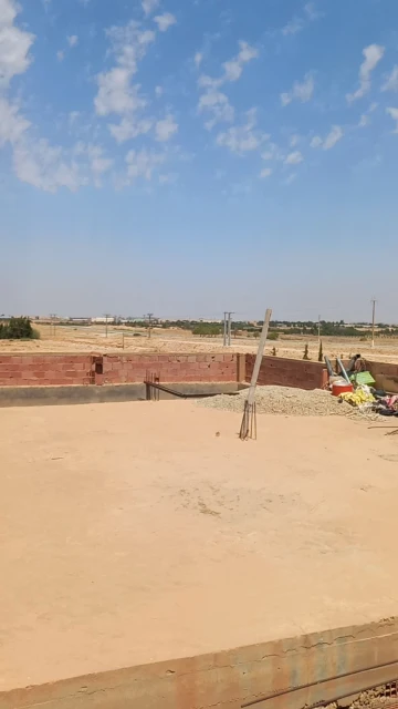 Vente Terrain Agricole Djelfa Ain oussara 9