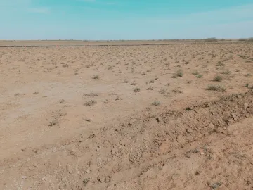 Vente Terrain Agricole Djelfa Birine 7