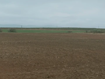 Vente Terrain Agricole Djelfa Benhar 14
