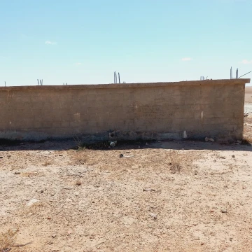 Vente Terrain Agricole Djelfa Birine 2