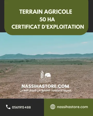 Vente Terrain Agricole Djelfa Bouira lahdab 5