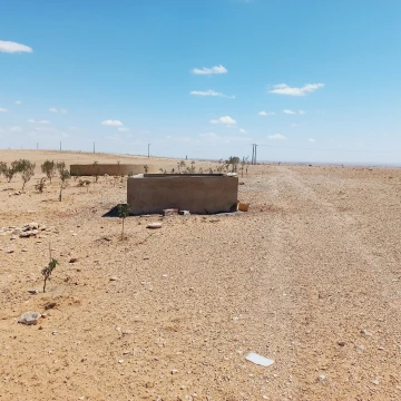 Vente Terrain Agricole Djelfa Birine 4