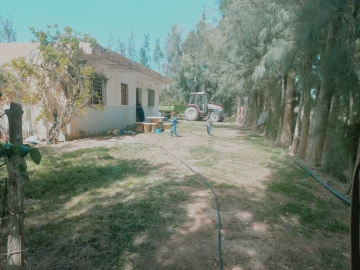 Vente Terrain Agricole Djelfa Djelfa 16