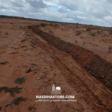 Vente Terrain Agricole Djelfa Had sahary 2