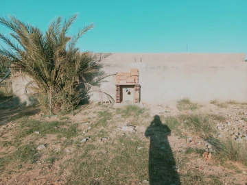Vente Terrain Agricole Djelfa Djelfa 11