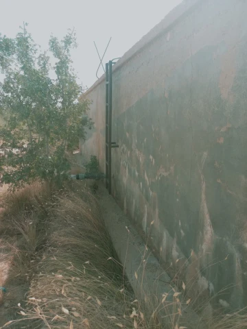 Vente Terrain Agricole Djelfa Ain oussara 2