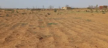 Vente Terrain Agricole Djelfa Ain oussara 18