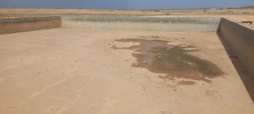 Vente Terrain Agricole Djelfa Mouadjebar 2