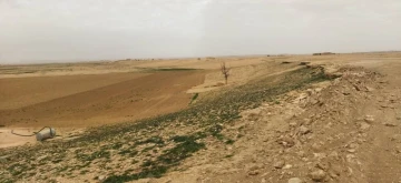 Vente Terrain Agricole Tiaret Tiaret