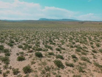 Vente Terrain Agricole Djelfa Djelfa 12