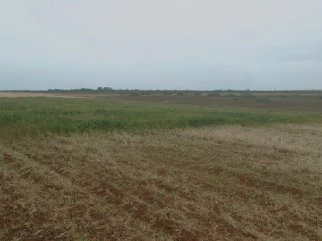 Vente Terrain Agricole Djelfa Benhar 4