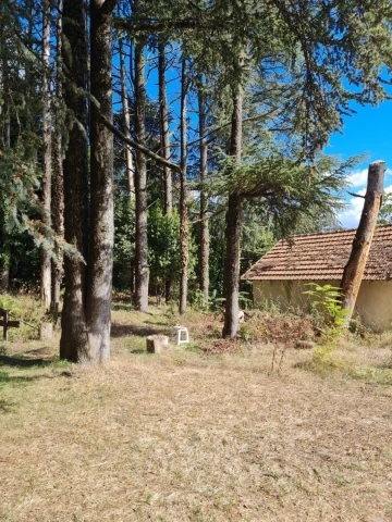 Vente Terrain Annaba Seraidi 5