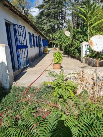 Vente Terrain Annaba Seraidi 3