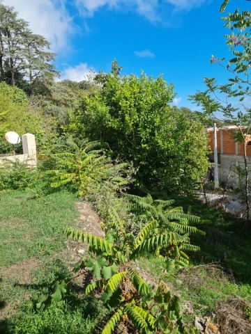 Vente Terrain Annaba Seraidi 2